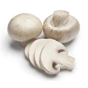 Button Mushroom