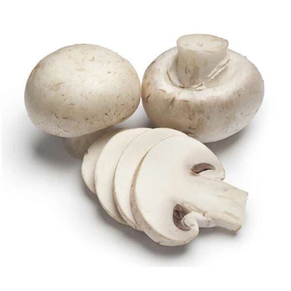 Button Mushroom
