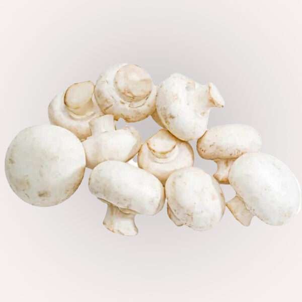 Button Mushroom